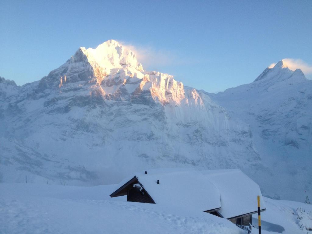 Hostel Berggasthaus First - Only Accessible By Cable Car